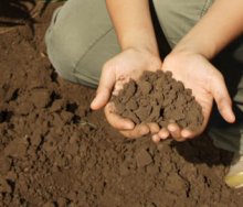 Особенности построения фундамента на различных типах почв