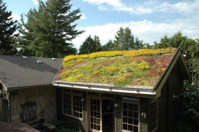 Как сделать зелёную крышу на дом: подробная инструкция