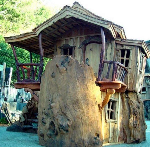 дом в стволе дерева